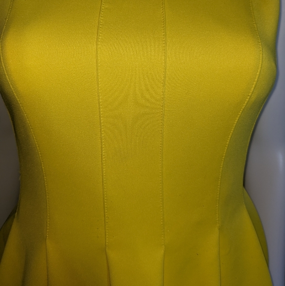 Calvin Klein | Mini Fit & Flare Solid Yellow Lined Cocktail Dress Size 4P - Picture 3 of 4